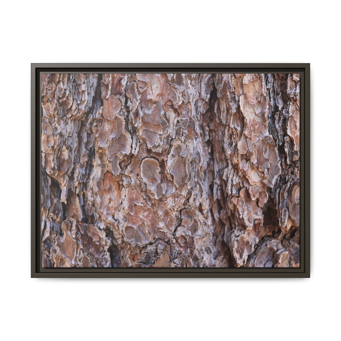 Woody Layers - Unique Stretched Canvas Wall Art - Art By Earth