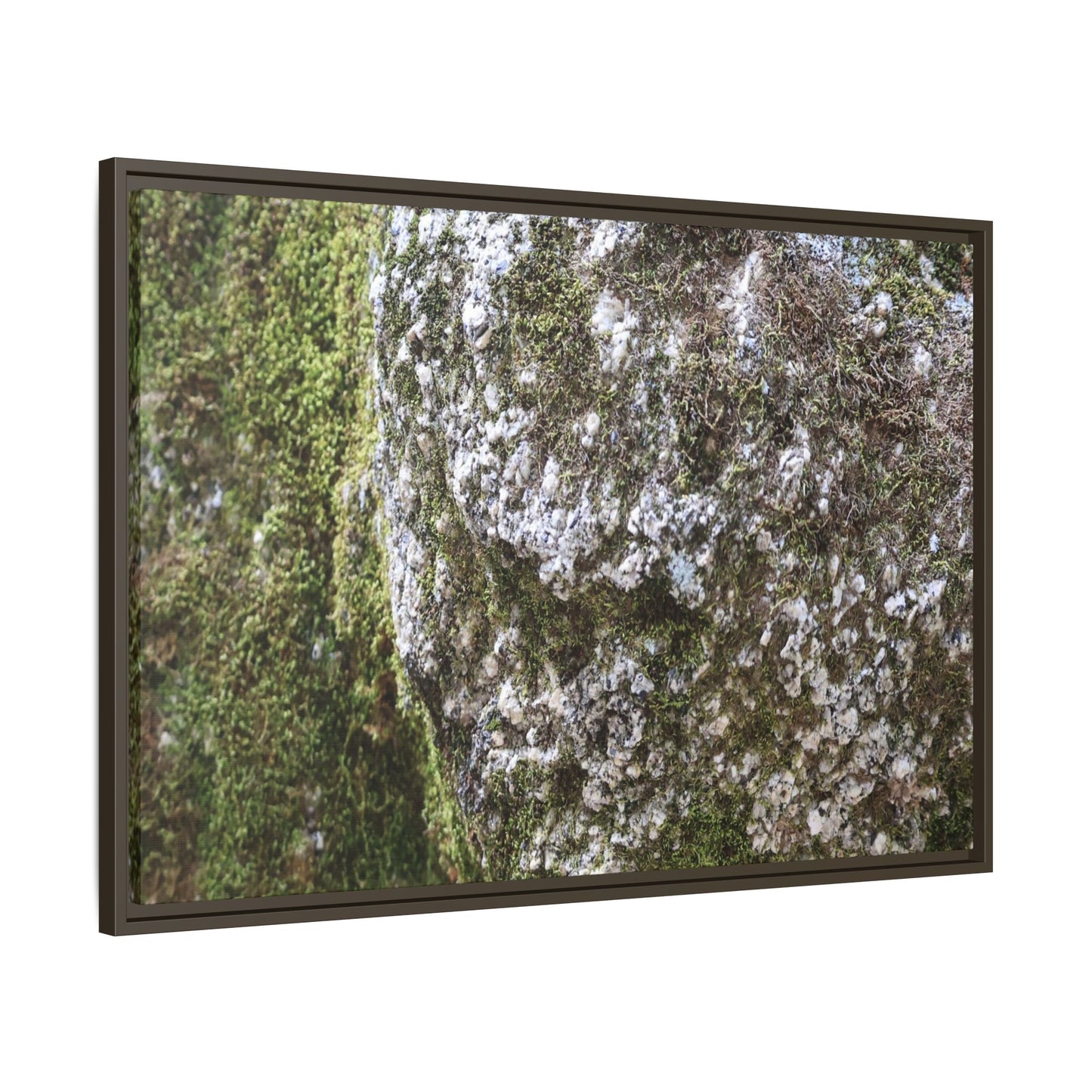 Lichen Landscape - Unique Stretched Canvas Wall Art - Art By Earth
