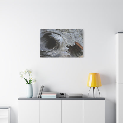 Twisted Whispers of the Forest Floor - Unique Frameless Canvas Wall Art - Art By Earth