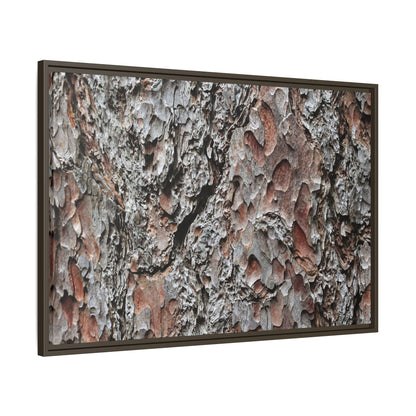 Bark Texture Symphony - Unique Stretched Canvas Wall Art - Art By Earth