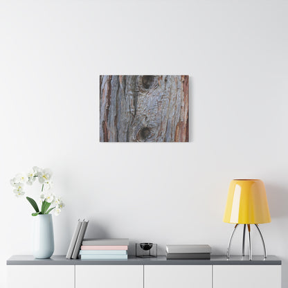Wooden Memoir - Unique Frameless Canvas Wall Art - Art By Earth