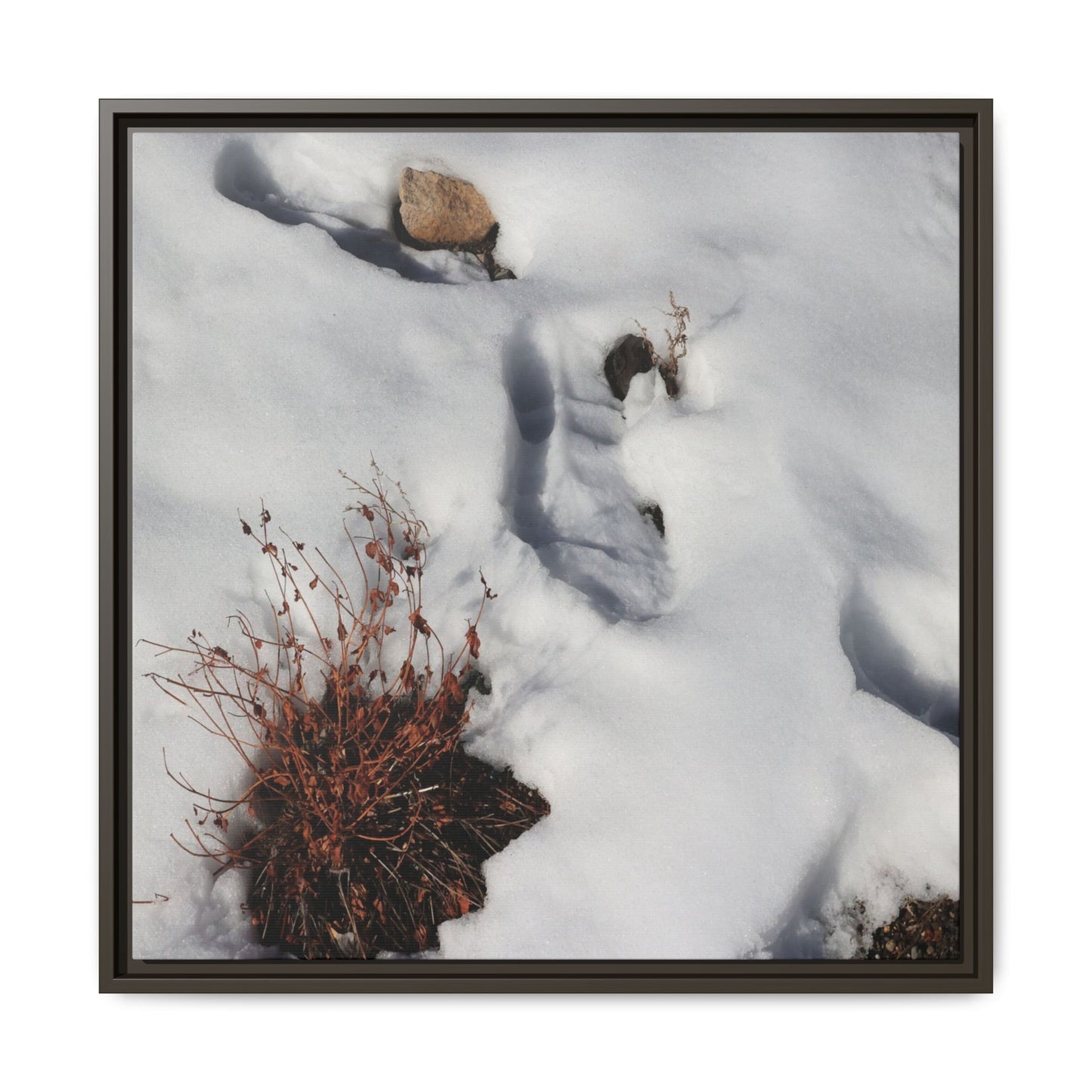 Frostbound Whispers - Unique Stretched Canvas Wall Art