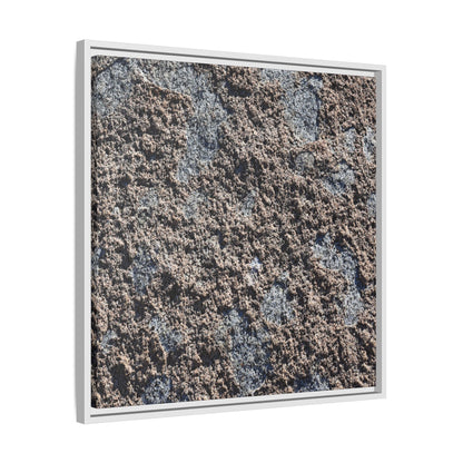 Textured Ground - Unique Stretched Canvas Wall Art