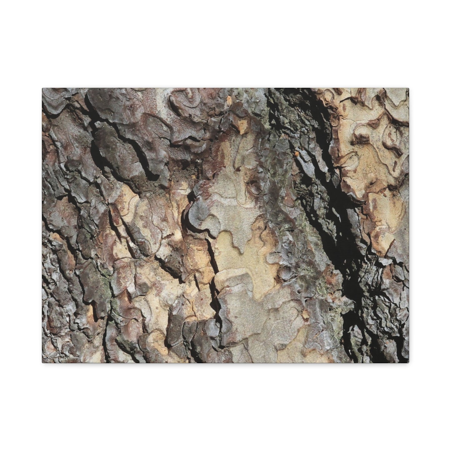Tree Bark Symphony - Unique Frameless Canvas Wall Art - Art By Earth