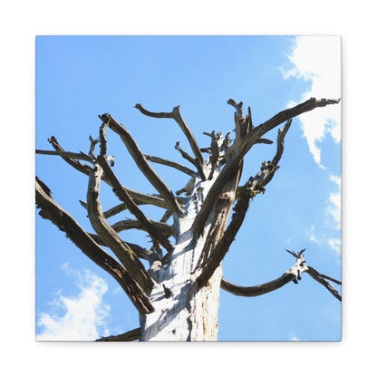Skeletal Branches Reaching - Unique Frameless Canvas Wall Art - Art By Earth