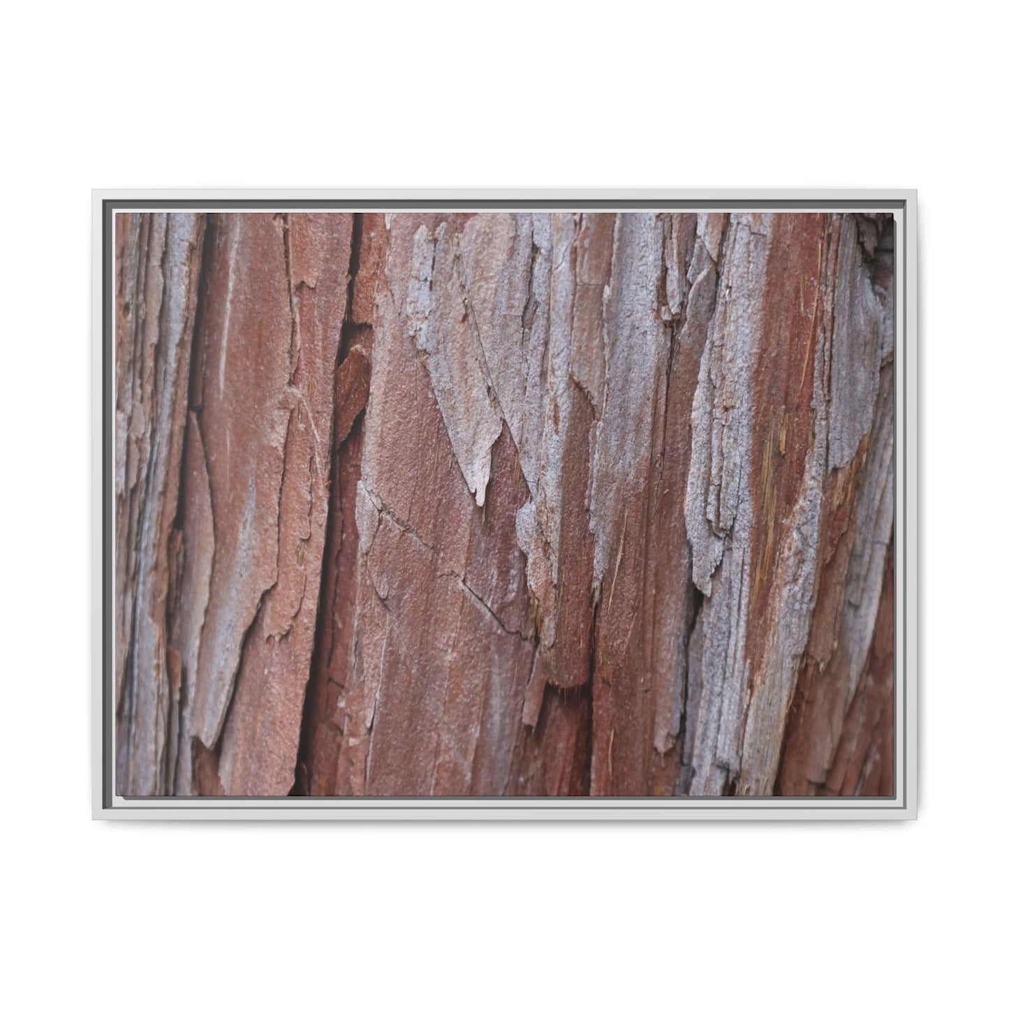 Time and Decay - Unique Stretched Canvas Wall Art - Art By Earth
