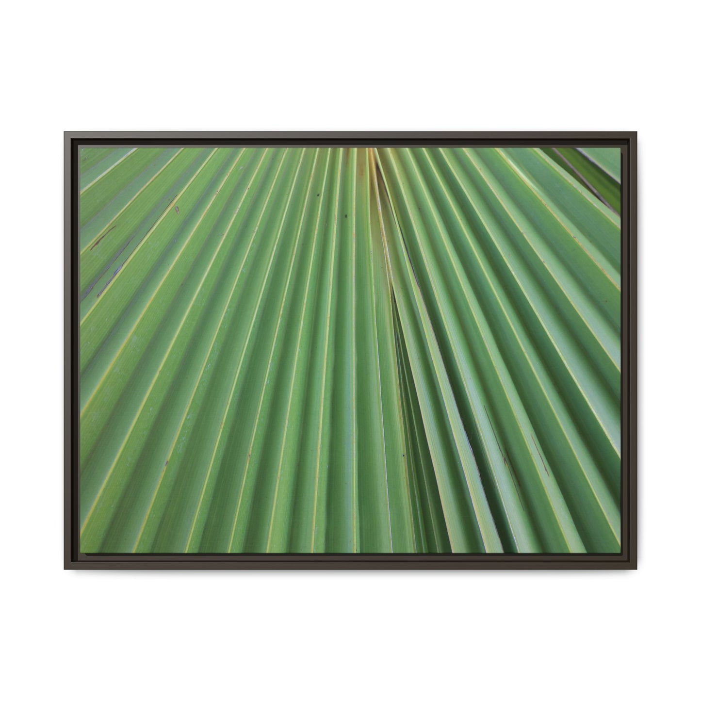 Verdant Veins - Unique Stretched Canvas Wall Art - Art By Earth