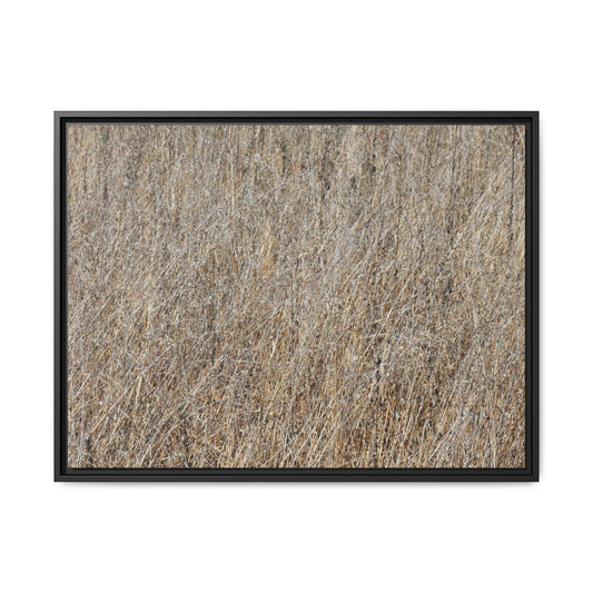 Whispers of Straw - Unique Stretched Canvas Wall Art - Art By Earth