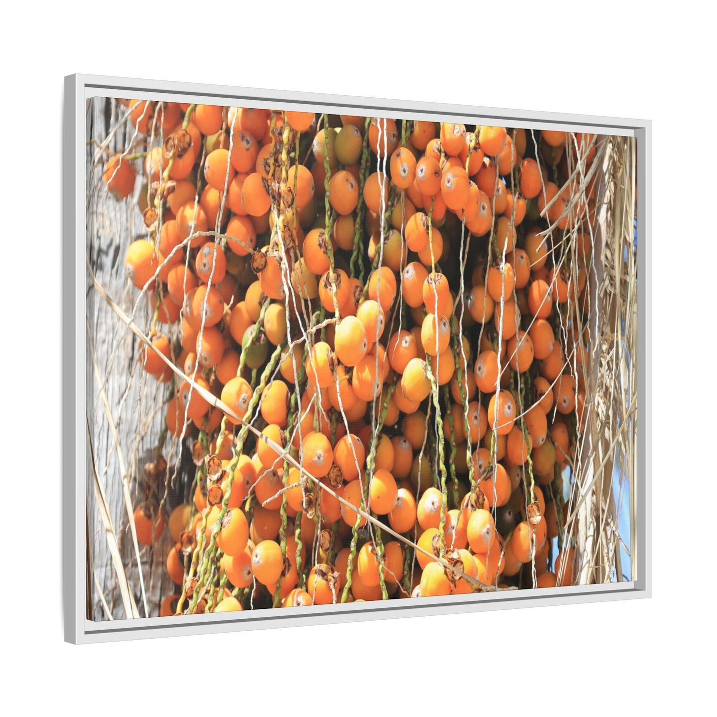 Clusters of Sunlight - Unique Canvas Wall Art - Art By Earth