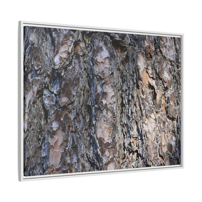 Weathered Patterns - Unique Stretched Canvas Wall Art - Art By Earth