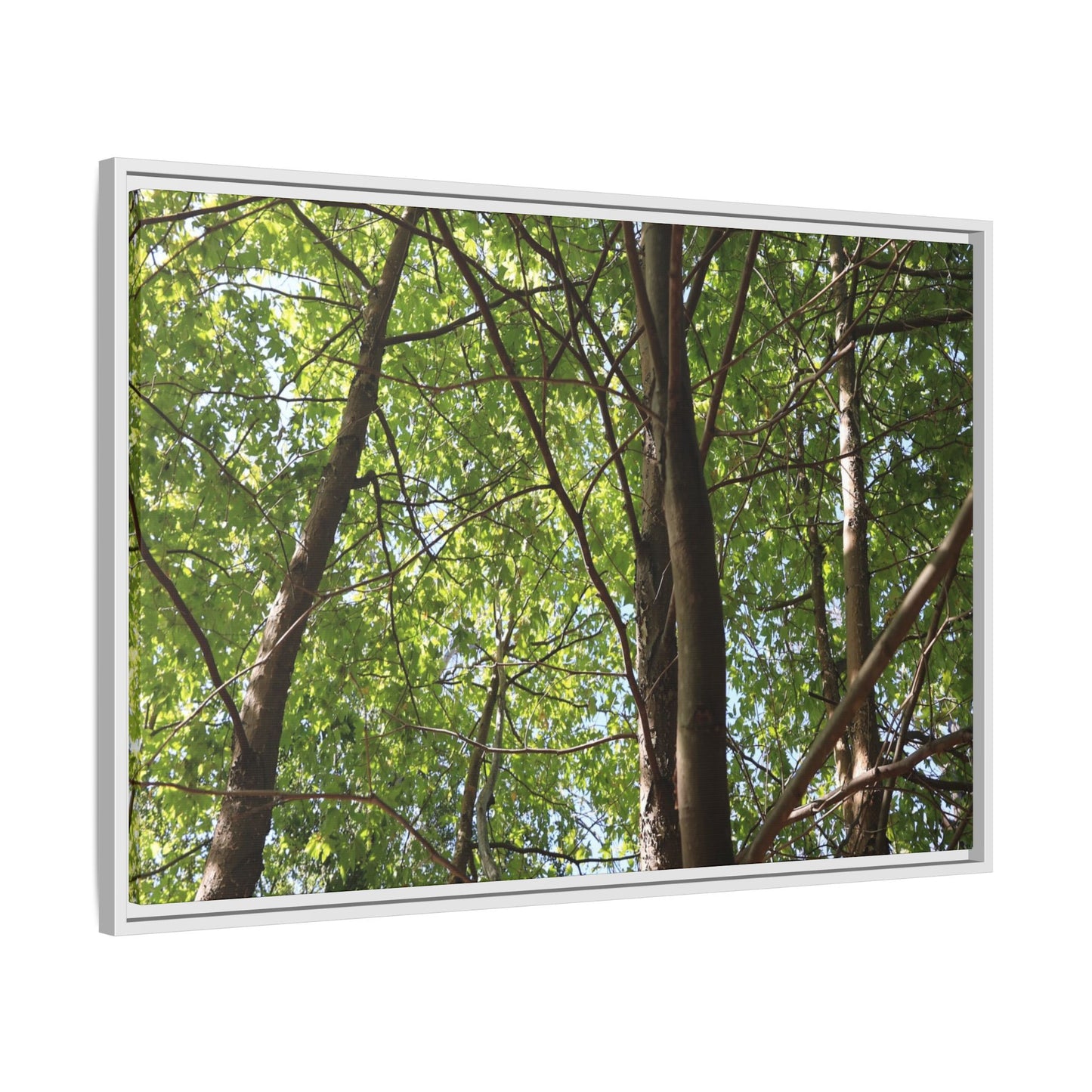 Forest Branches - Unique Stretched Canvas Wall Art