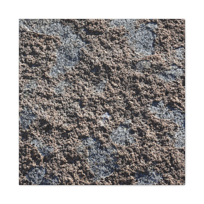 Soil and Stone - Unique Frameless Canvas Wall Art