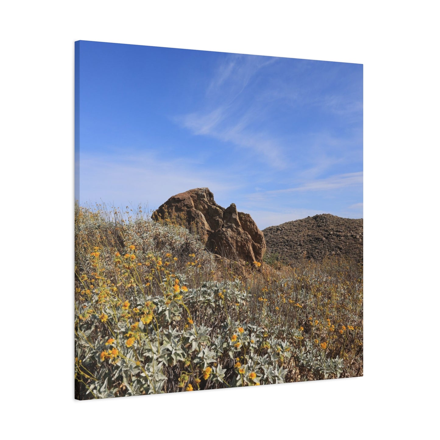 Desert Bloom - Unique Frameless Canvas Wall Art - Art By Earth