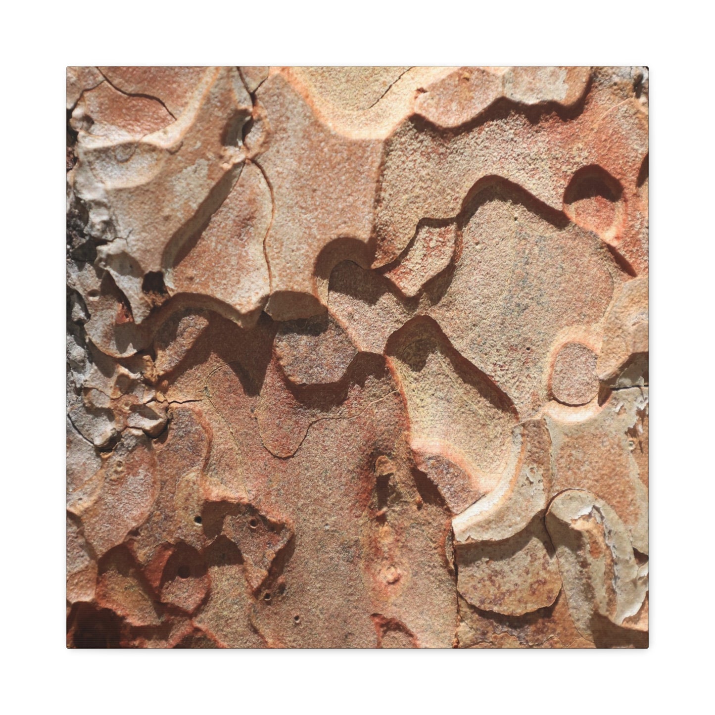 Terracotta Echoes - Unique Frameless Canvas Wall Art - Art By Earth