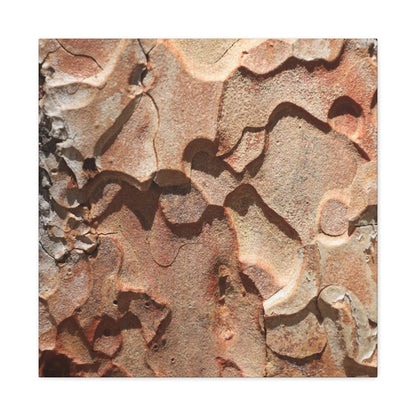 Terracotta Echoes - Unique Frameless Canvas Wall Art - Art By Earth