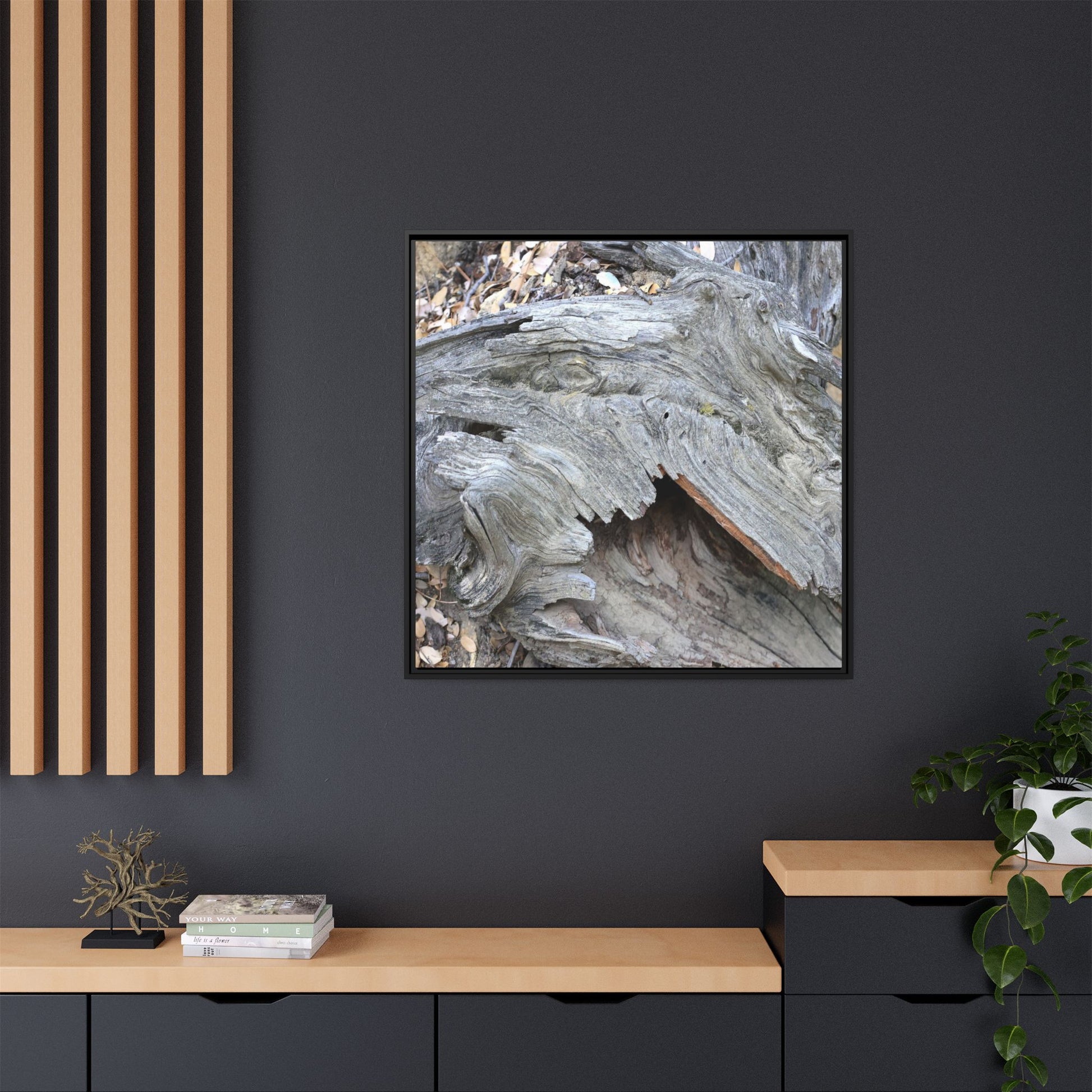 Driftwood Dreams - Unique Stretched Canvas Wall Art - Art By Earth