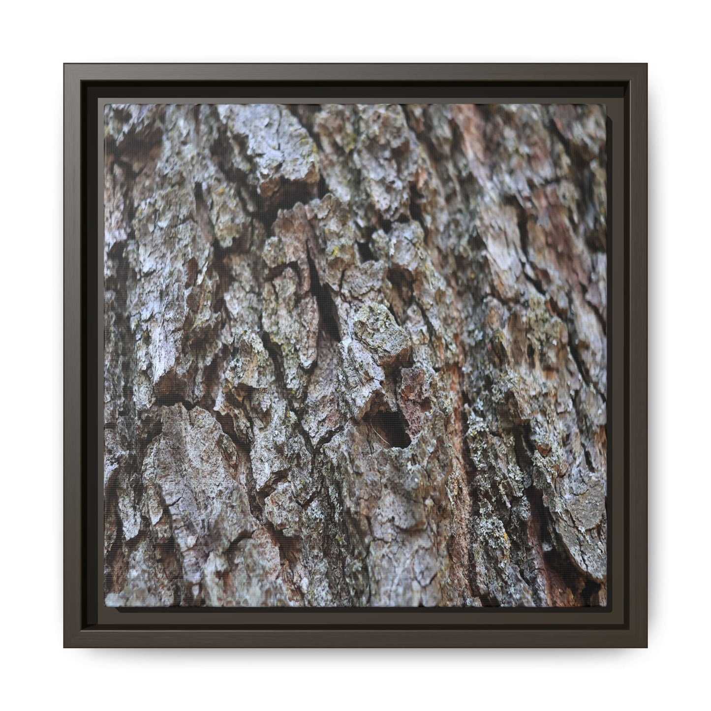 Woodland Canvas - Unique Stretched Canvas Wall Art - Art By Earth