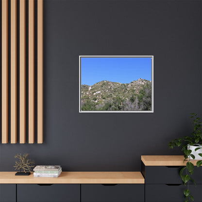 Sparse Vegetation - Unique Stretched Canvas Wall Art