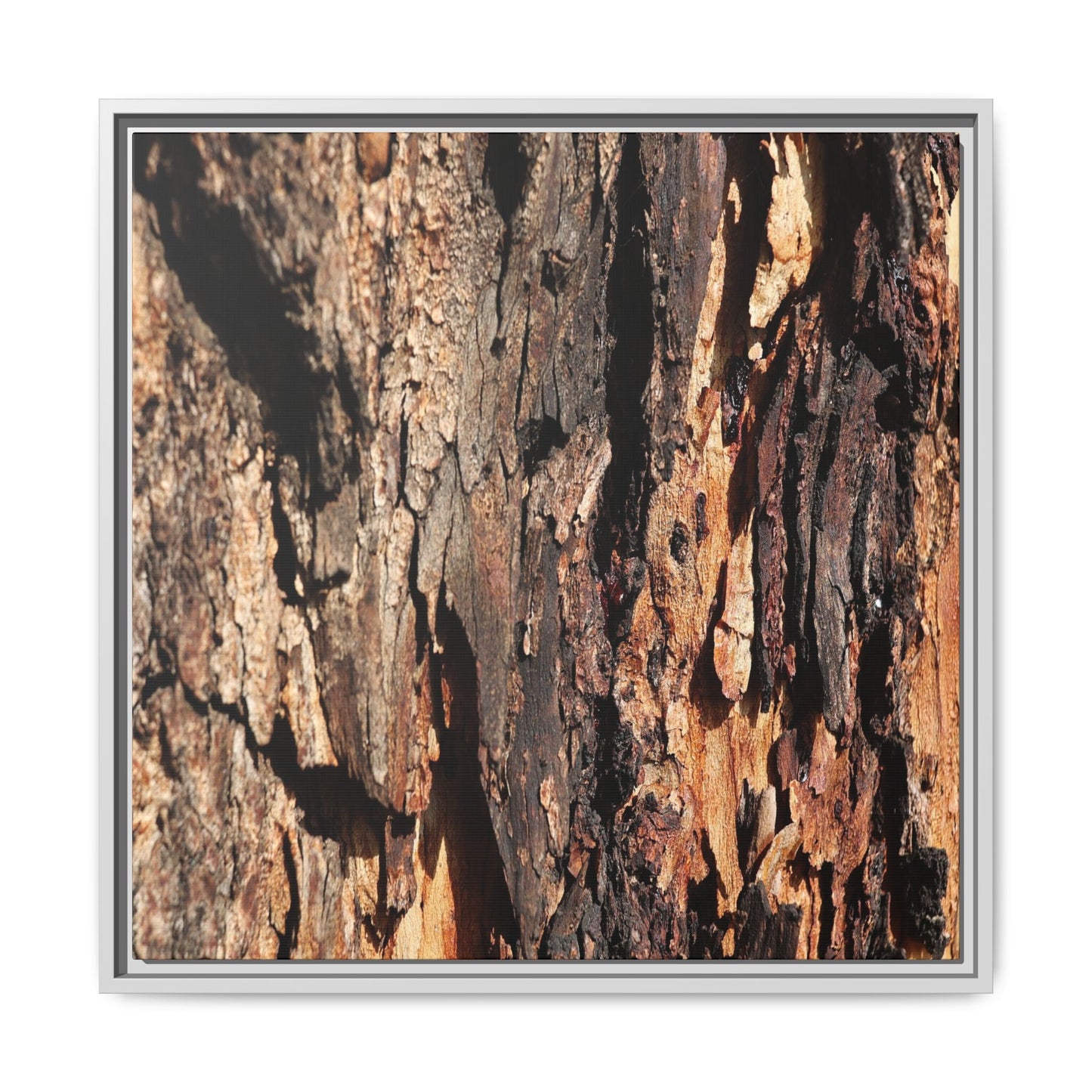 Rugged Beauty - Unique Stretched Canvas Wall Art - Art By Earth