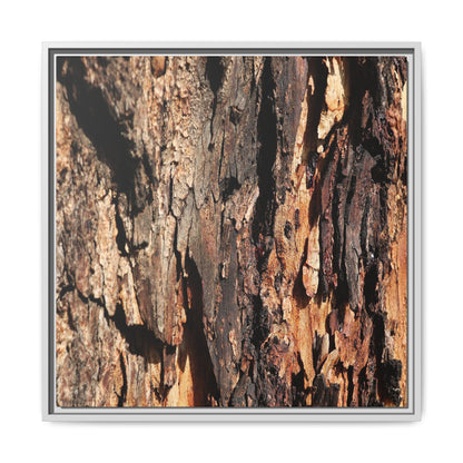 Rugged Beauty - Unique Stretched Canvas Wall Art - Art By Earth