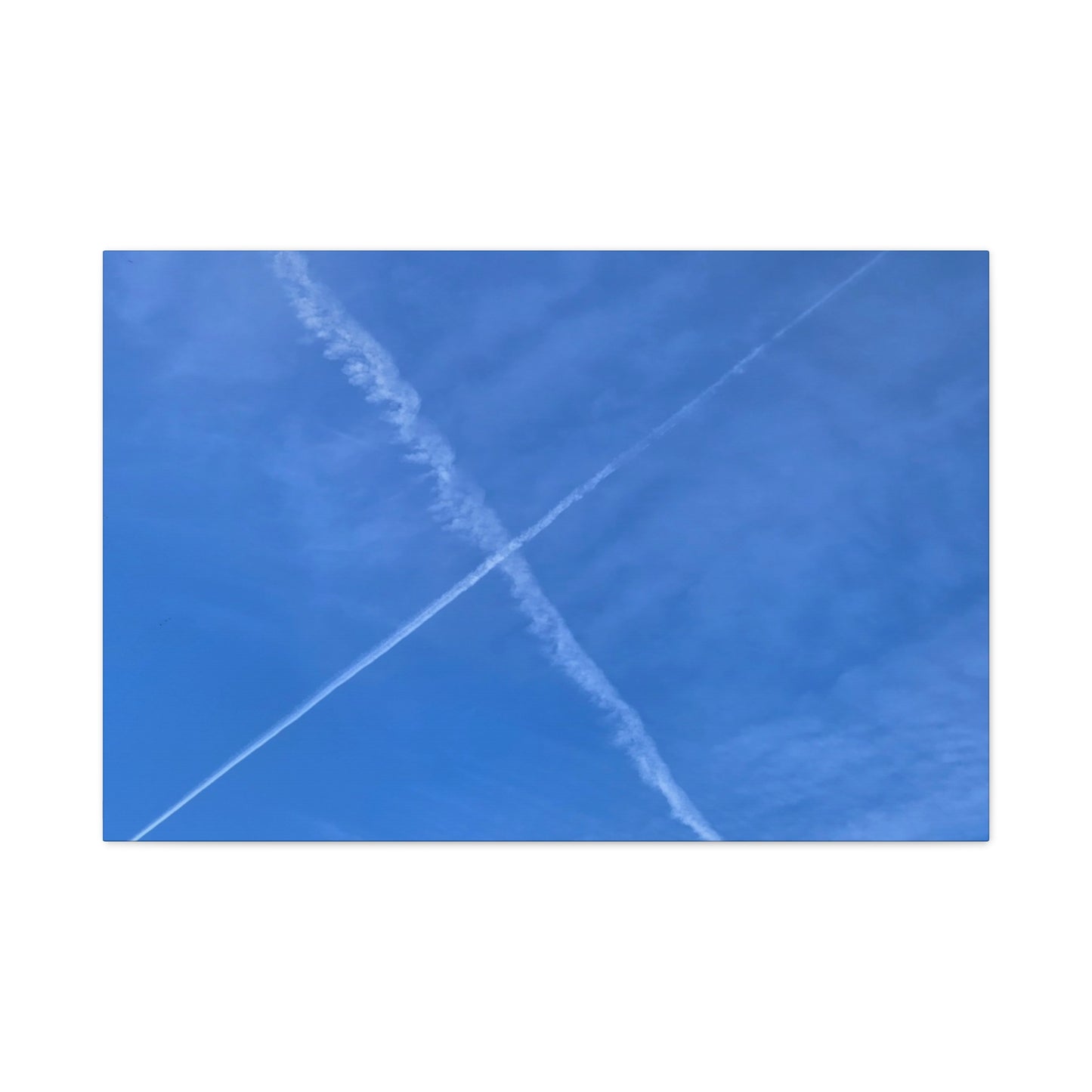 Crossing Paths - Unique Frameless Canvas Wall Art - Art By Earth