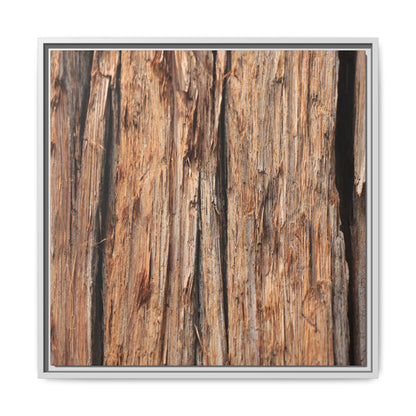 Timber Echoes - Unique Stretched Canvas Wall Art - Art By Earth