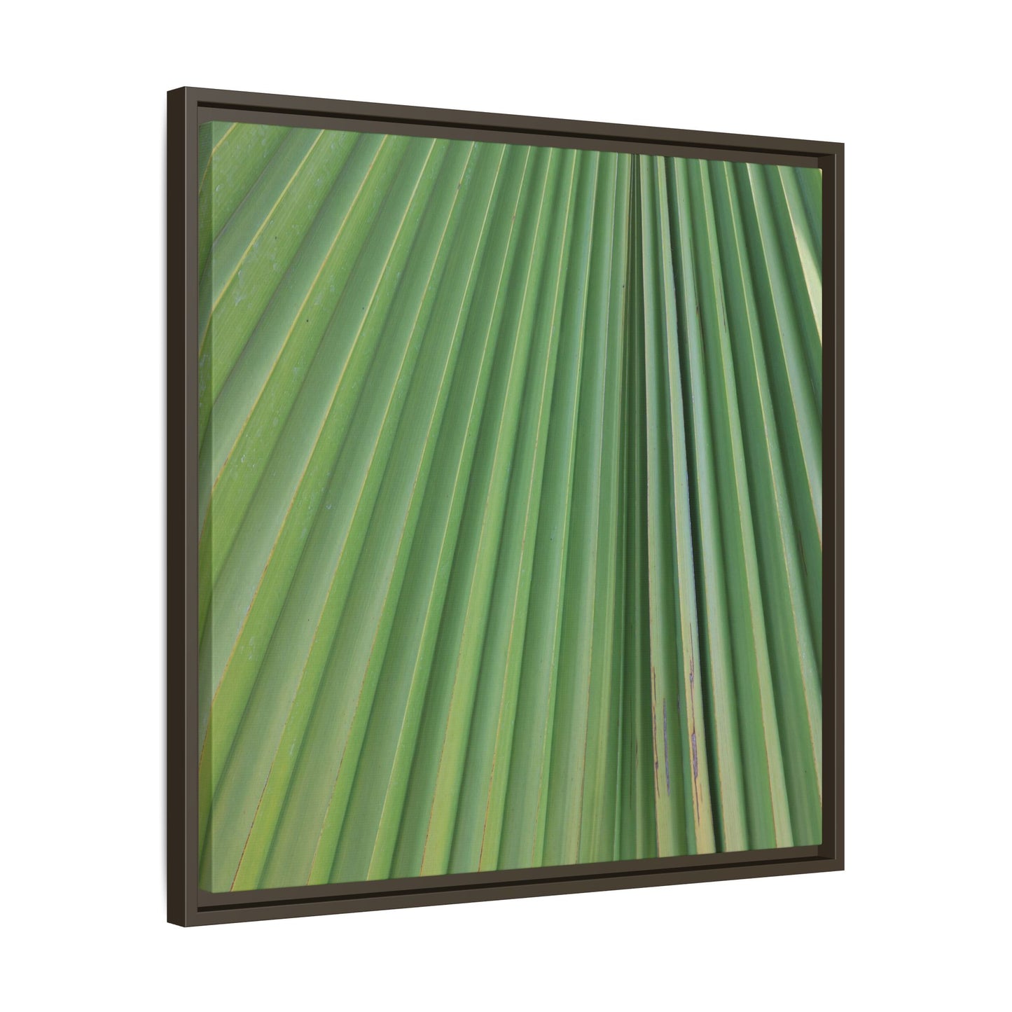 Emerald Rays - Unique Stretched Canvas Wall Art - Art By Earth