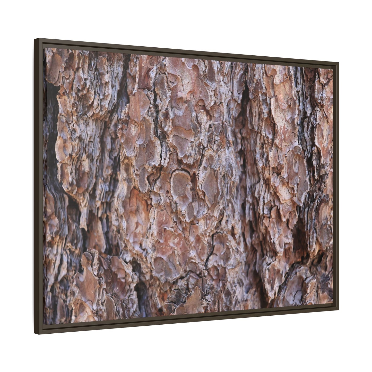 Woody Layers - Unique Stretched Canvas Wall Art - Art By Earth