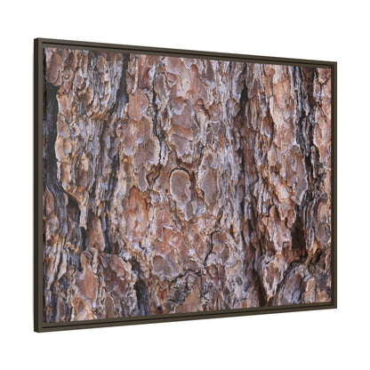 Woody Layers - Unique Stretched Canvas Wall Art - Art By Earth