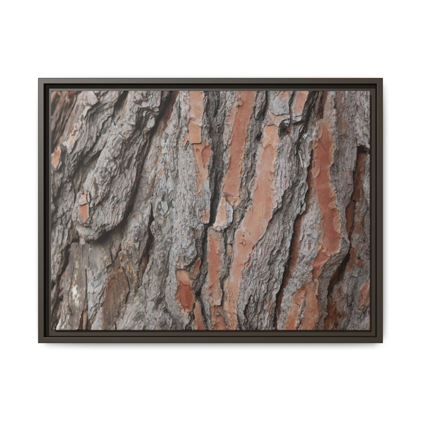 Woodland Layers - Unique Stretched Canvas Wall Art - Art By Earth