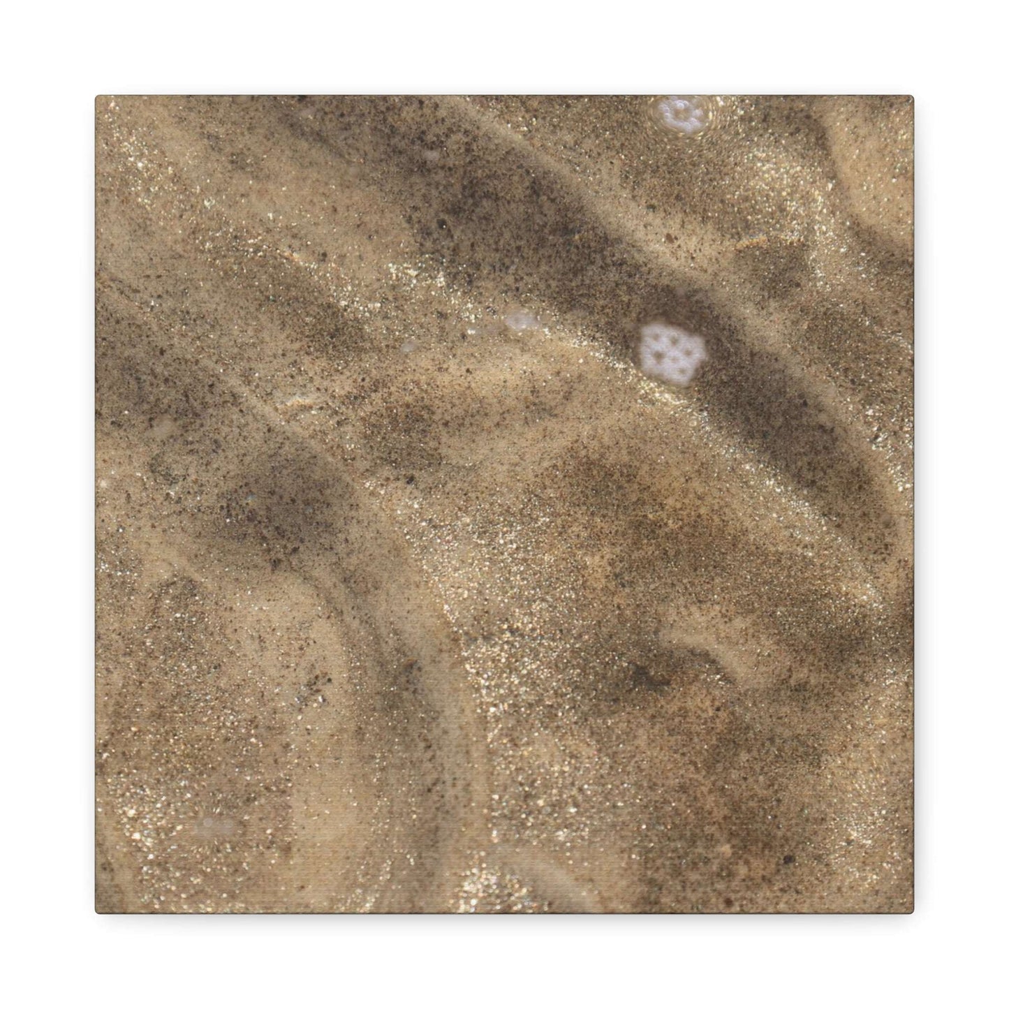 Sandy Shore Impressions - Unique Frameless Canvas Wall Art - Art By Earth