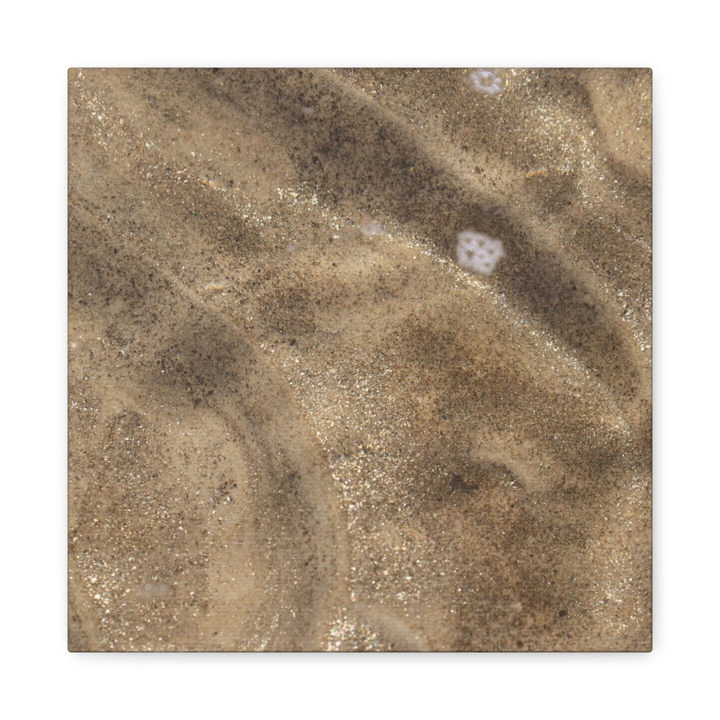 Sandy Shore Impressions - Unique Frameless Canvas Wall Art - Art By Earth