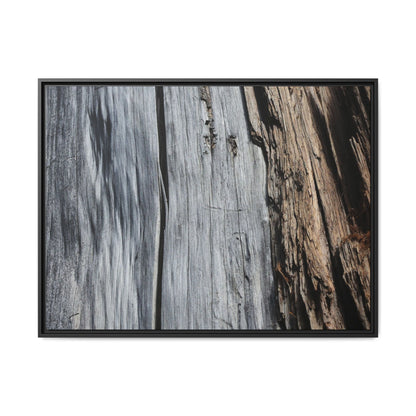 Wood's Lament - Unique Stretched Canvas Wall Art - Art By Earth