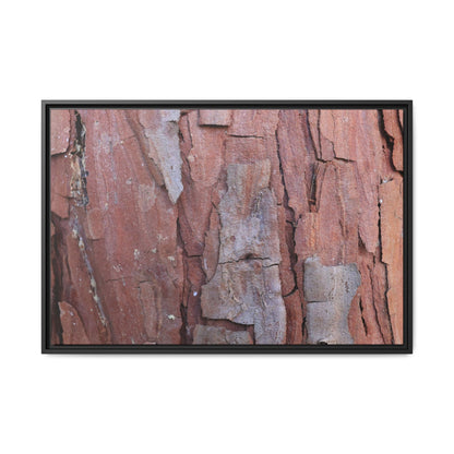 Peeling Bark - Unique Stretched Canvas Wall Art - Art By Earth