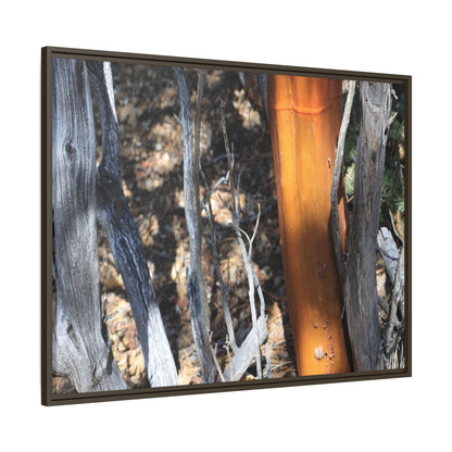 Burnt Trees and Golden Trunk - Unique Stretched Canvas Wall Art