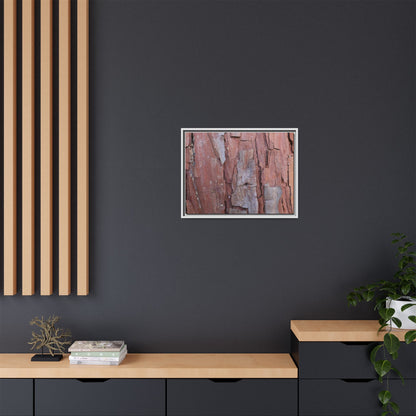 Peeling Bark - Unique Stretched Canvas Wall Art - Art By Earth