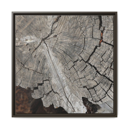 Time's Signature - Unique Stretched Canvas Wall Art - Art By Earth