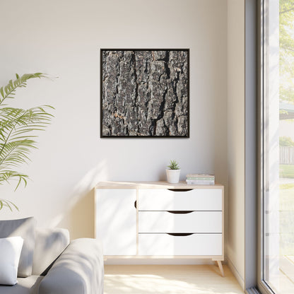 Bark Study in Gray - Unique Stretched Canvas Wall Art - Art By Earth