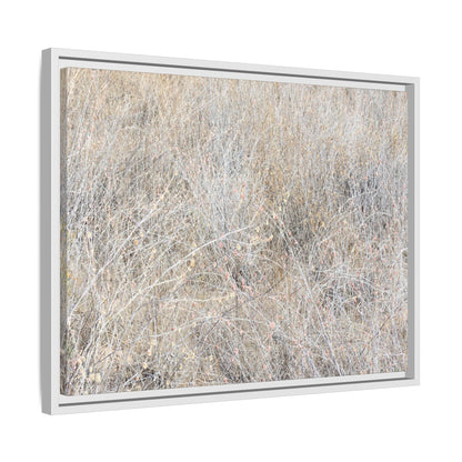 Whispers of Dry Grass - Unique Stretched Canvas Wall Art - Art By Earth