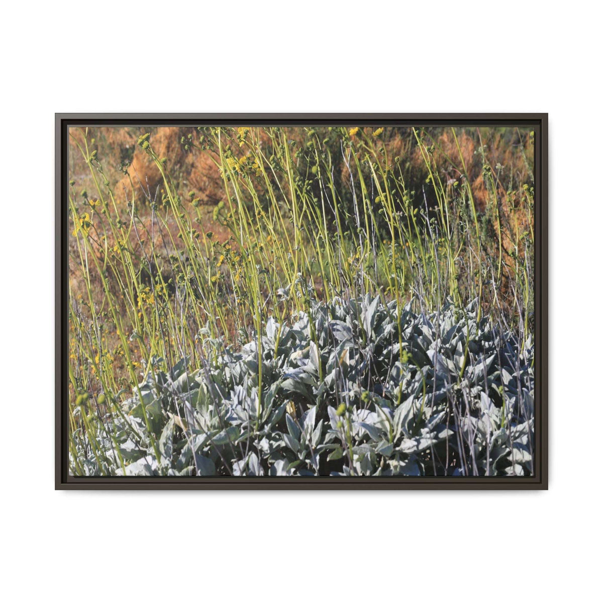 Arid Landscape with Yellow Flowers - Unique Stretched Canvas Wall Art - Art By Earth