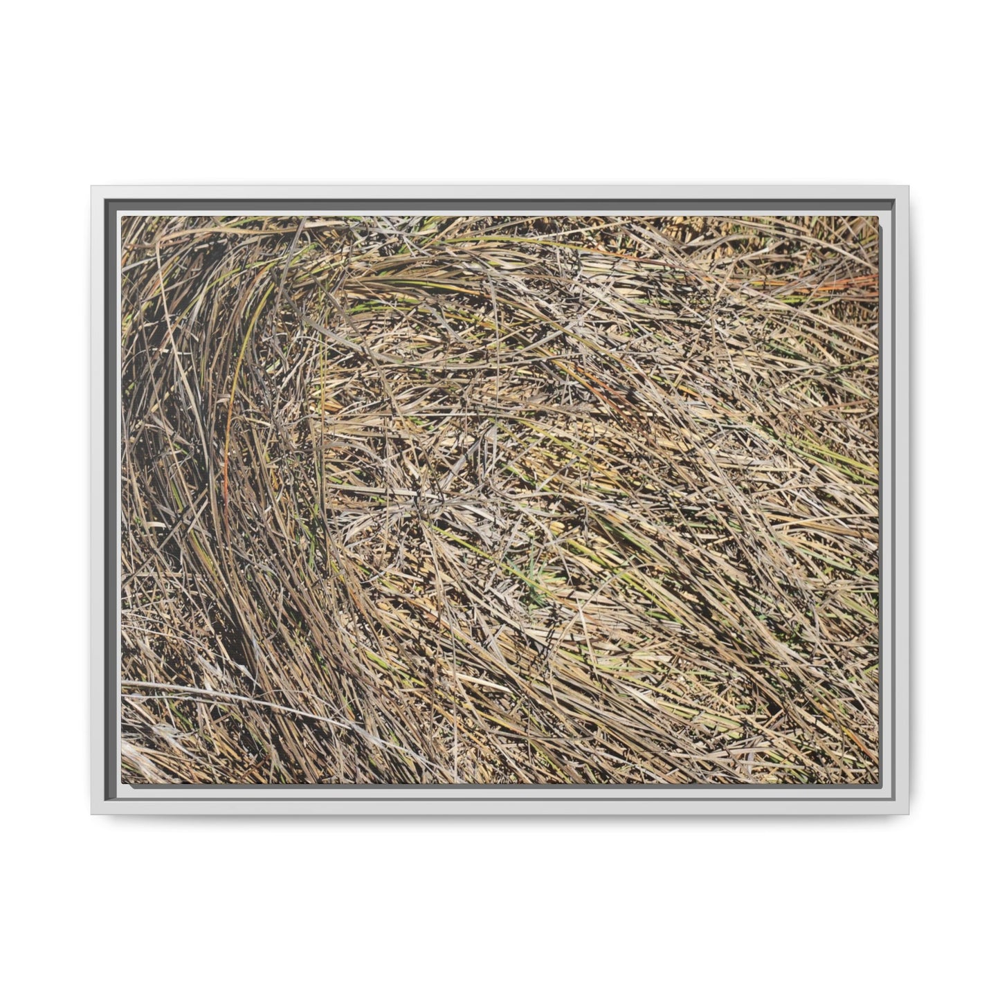 Tangled Grass Symphony - Unique Stretched Canvas Wall Art - Art By Earth