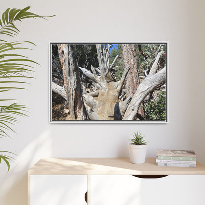 Forest Sentinels - Unique Stretched Canvas Wall Art