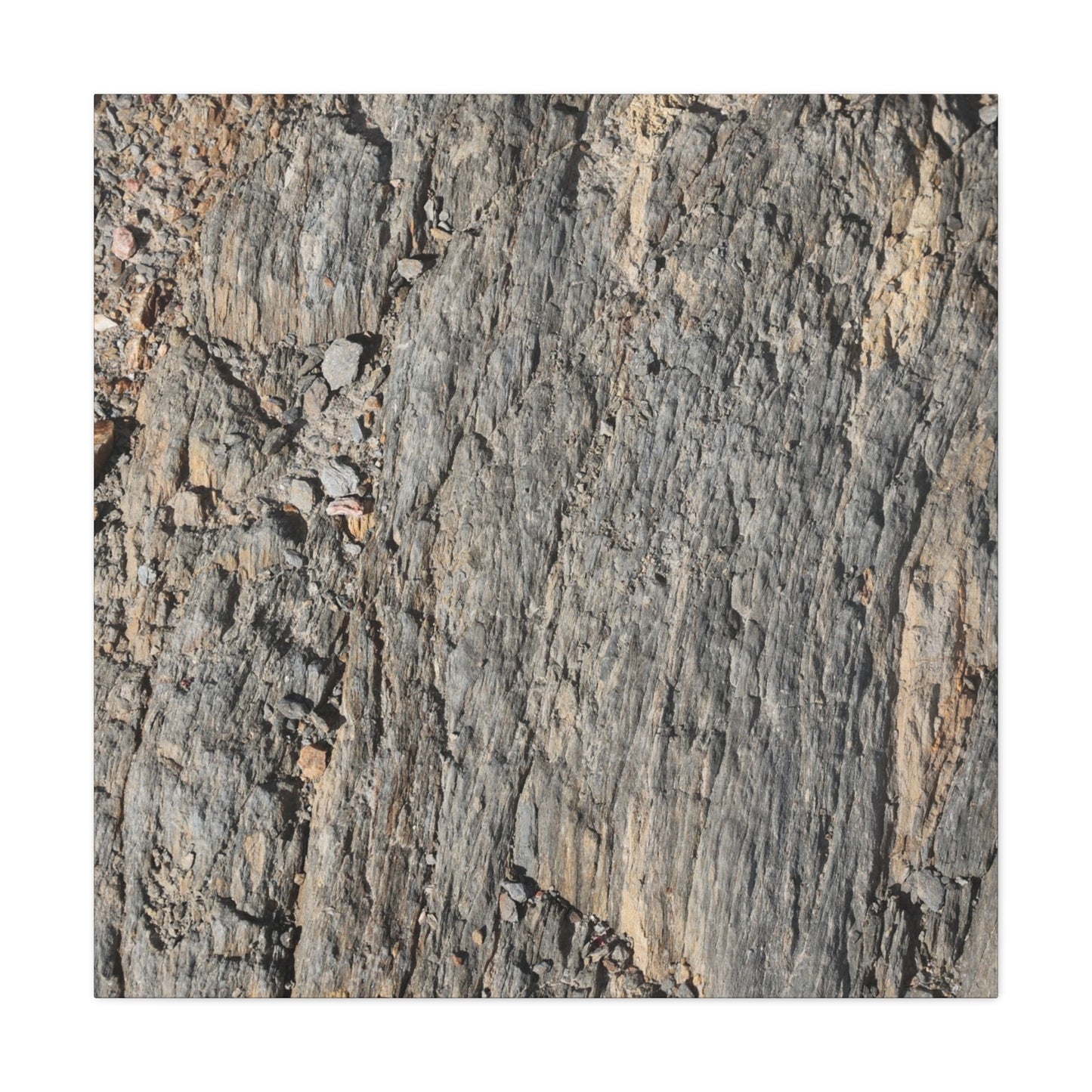 Bark Echoes - Unique Frameless Canvas Wall Art - Art By Earth