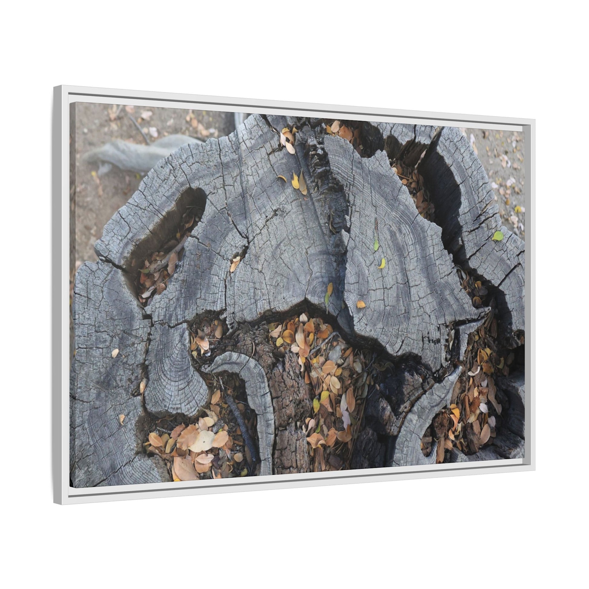 Time's Fractal Memory - Unique Stretched Canvas Wall Art - Art By Earth