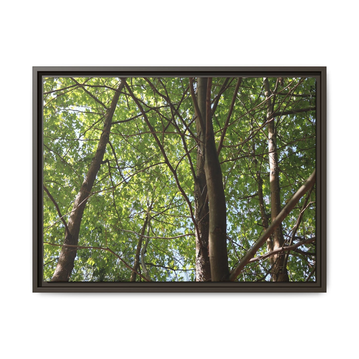 Forest Branches - Unique Stretched Canvas Wall Art