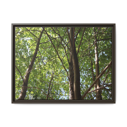 Forest Branches - Unique Stretched Canvas Wall Art