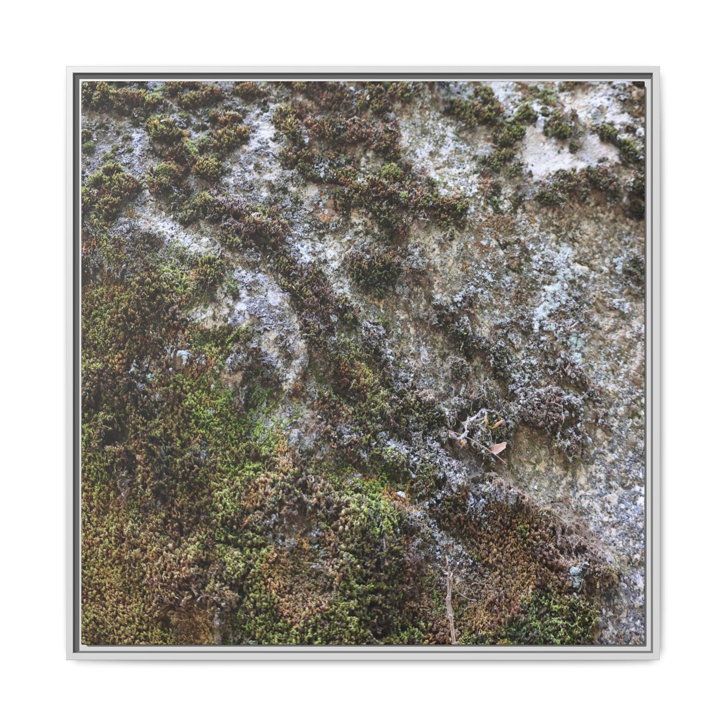 Mossy Whispers - Unique Stretched Canvas Wall Art - Art By Earth