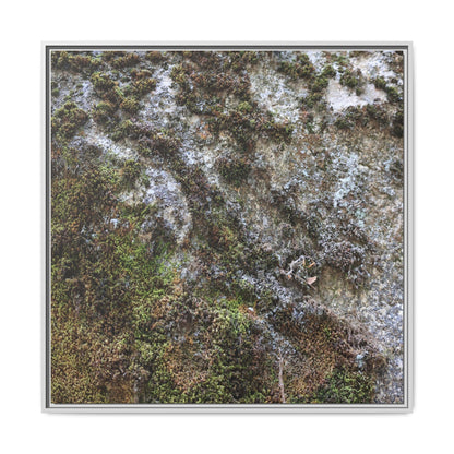 Mossy Whispers - Unique Stretched Canvas Wall Art - Art By Earth