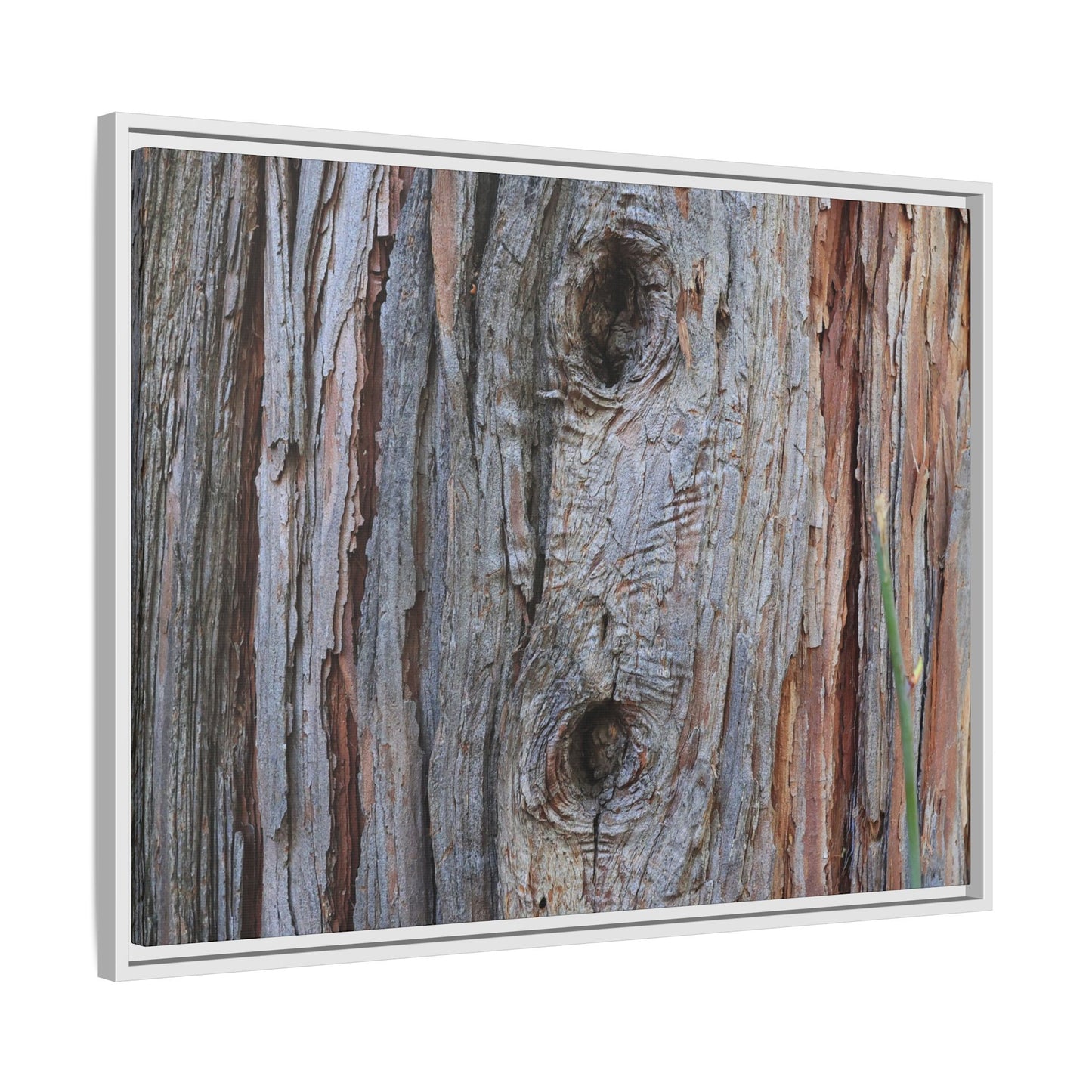 Knotty Nature - Unique Stretched Canvas Wall Art - Art By Earth