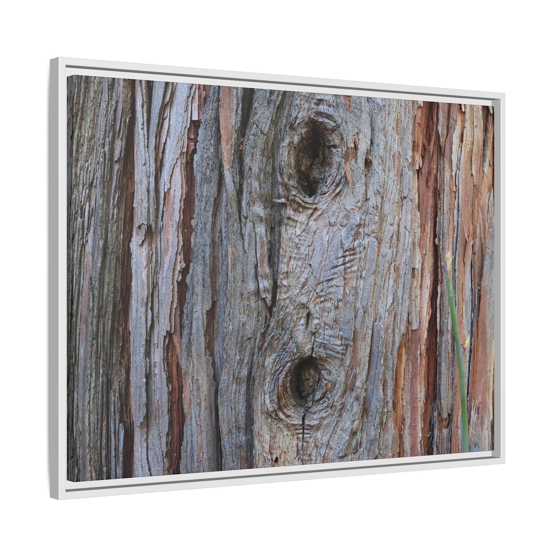 Knotty Nature - Unique Stretched Canvas Wall Art - Art By Earth